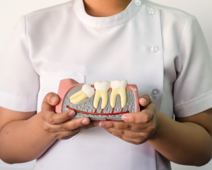'wisdom teeth sculpture'