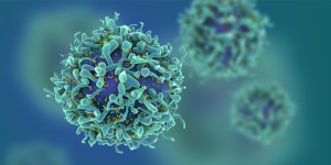 Cancer cells